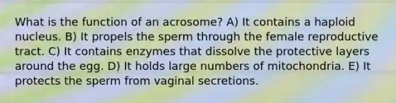 What is the function of an acrosome? A) It contains a haploid nucleus. B) It propels the sperm through the female reproductive tract. C) It contains enzymes that dissolve the protective layers around the egg. D) It holds large numbers of mitochondria. E) It protects the sperm from vaginal secretions.