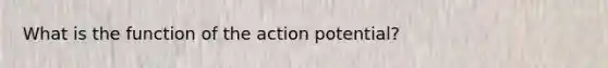 What is the function of the action potential?