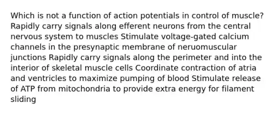 Which is not a function of action potentials in control of muscle? Rapidly carry signals along efferent neurons from the central nervous system to muscles Stimulate voltage-gated calcium channels in the presynaptic membrane of neruomuscular junctions Rapidly carry signals along the perimeter and into the interior of skeletal muscle cells Coordinate contraction of atria and ventricles to maximize pumping of blood Stimulate release of ATP from mitochondria to provide extra energy for filament sliding