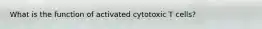 What is the function of activated cytotoxic T cells?