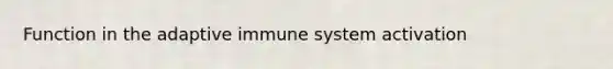 Function in the adaptive immune system activation