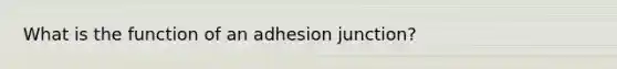 What is the function of an adhesion junction?