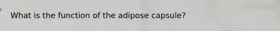 What is the function of the adipose capsule?