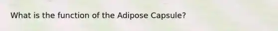 What is the function of the Adipose Capsule?