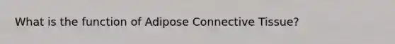 What is the function of Adipose Connective Tissue?