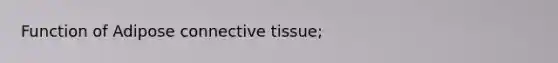 Function of Adipose connective tissue;