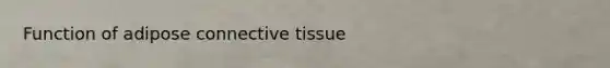 Function of adipose connective tissue