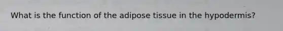 What is the function of the adipose tissue in the hypodermis?