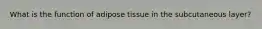 What is the function of adipose tissue in the subcutaneous layer?
