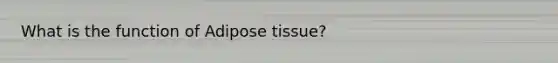 What is the function of Adipose tissue?