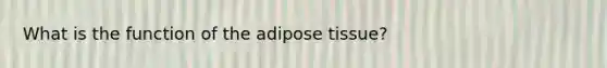 What is the function of the adipose tissue?