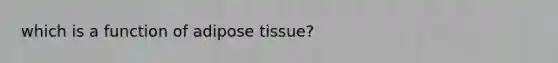 which is a function of adipose tissue?