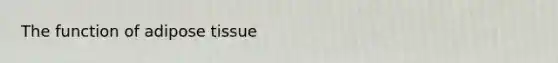 The function of adipose tissue