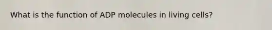 What is the function of ADP molecules in living cells?