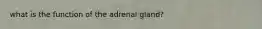 what is the function of the adrenal gland?