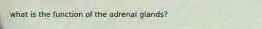 what is the function of the adrenal glands?