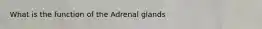 What is the function of the Adrenal glands