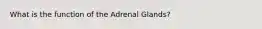 What is the function of the Adrenal Glands?