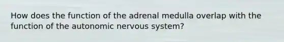 How does the function of the adrenal medulla overlap with the function of the autonomic nervous system?