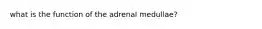 what is the function of the adrenal medullae?