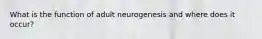 What is the function of adult neurogenesis and where does it occur?