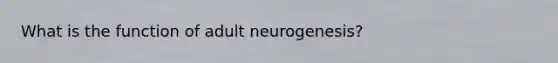 What is the function of adult neurogenesis?