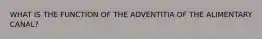 WHAT IS THE FUNCTION OF THE ADVENTITIA OF THE ALIMENTARY CANAL?