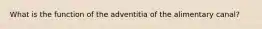 What is the function of the adventitia of the alimentary canal?