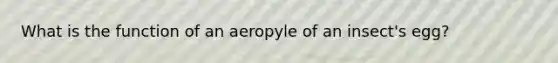 What is the function of an aeropyle of an insect's egg?