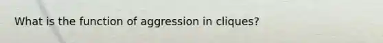 What is the function of aggression in cliques?