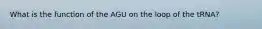 What is the function of the AGU on the loop of the tRNA?
