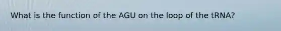 What is the function of the AGU on the loop of the tRNA?