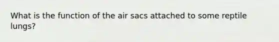 What is the function of the air sacs attached to some reptile lungs?