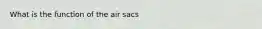 What is the function of the air sacs