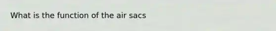 What is the function of the air sacs