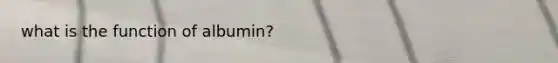 what is the function of albumin?