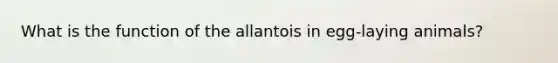 What is the function of the allantois in egg-laying animals?