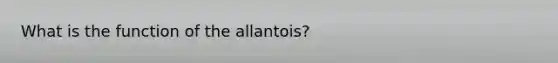 What is the function of the allantois?