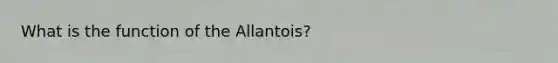 What is the function of the Allantois?