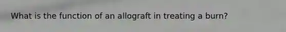 What is the function of an allograft in treating a burn?