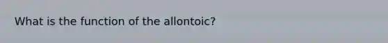 What is the function of the allontoic?