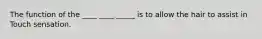 The function of the ____ ____ _____ is to allow the hair to assist in Touch sensation.