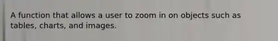 A function that allows a user to zoom in on objects such as tables, charts, and images.