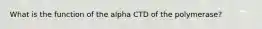 What is the function of the alpha CTD of the polymerase?