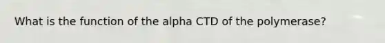 What is the function of the alpha CTD of the polymerase?