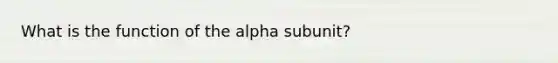 What is the function of the alpha subunit?