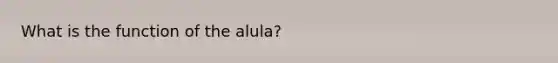 What is the function of the alula?