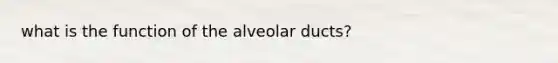 what is the function of the alveolar ducts?