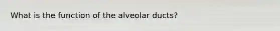 What is the function of the alveolar ducts?