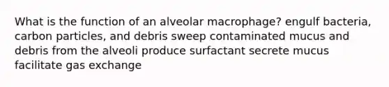 What is the function of an alveolar macrophage? engulf bacteria, carbon particles, and debris sweep contaminated mucus and debris from the alveoli produce surfactant secrete mucus facilitate gas exchange